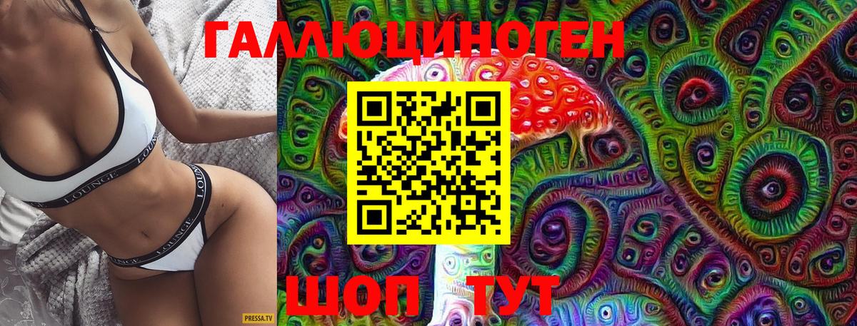 Псилоцибиновые грибы Psilocybe  Галлюциногенные грибы прущие грибы  Вход с VPN  Павлово 