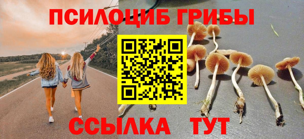 Галлюциногенные грибы мухоморы Павлово